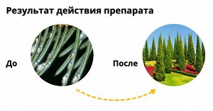Пиноцид, 2 мл, от комплекса вредителей на хвойных культурах
