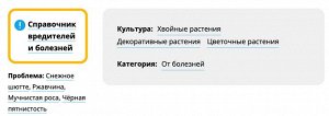 Ракурс, 4мл, от болезней хвойных растений, для борьбы с обыкновенным и снежным шютте, ржавчиной