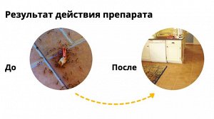 Муравьед СУПЕР 50 гр, от всех видов садовых и домовых муравьев