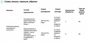 Бордосская жидкость 100мл