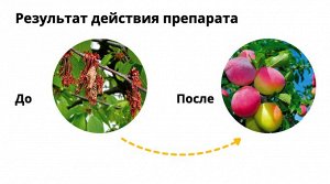 Бордосская жидкость 100мл