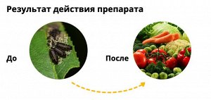 Батрайдер 10 мл, от комплекса вредителей