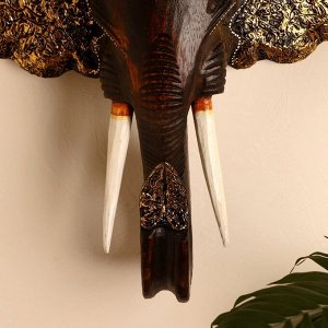 Сувенир дерево "Голова Слона" 46х17х50 см