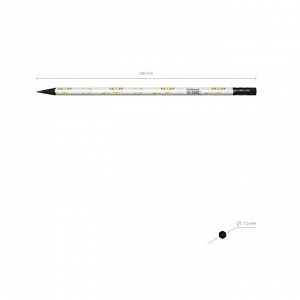 ERICH KRAUSE Карандаш чернографитный с ластиком ErichKrause Magic Sky (простой), HB, грифель d 2.2 мм, трeхгранный, с принтом, из люкс древесины, микс