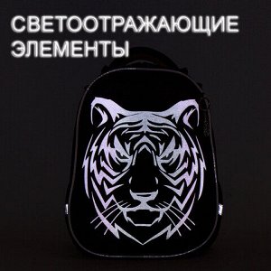 Ранец BRAUBERG SHINY, 2 отделения, &quot;Tiger&quot;, СВЕТЯЩИЙСЯ РИСУНОК, 36х28х14 см, 270698