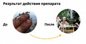 Комароед 100 мл, от комаров, их личинок и других видов гнуса