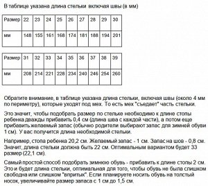Зимние детские сапоги Nordman Lumi на липучке синие