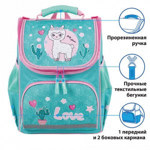 Ранец ПИФАГОР BASIC, с эргономичной спинкой, "Baby lama", 35х28х18 см, 229934