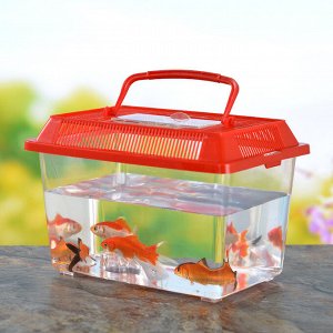 Прозрачный контейнер для рыб и рептилий