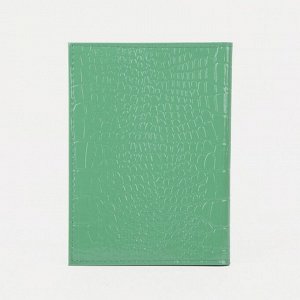 Обложка для автодокументов 4656943 зеленая 02048