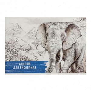 Альбом для рисования А4, 40 листов на скрепке "Слон", обложка мелованный картон, блок 100 г/м?