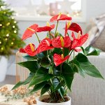 Хищный Sale! С новиночками