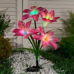 Садовый светильник на солнечной батарее «Лилия розовая», 80 см, 4 LED, свечение мульти (RGB)