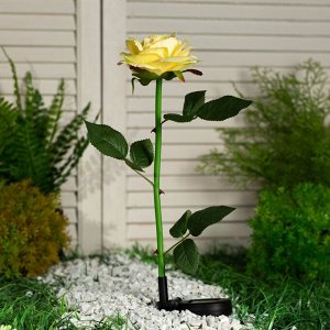 Садовый светильник на солнечной батарее «Роза жёлтая», 75 см, 5 LED, свечение белое