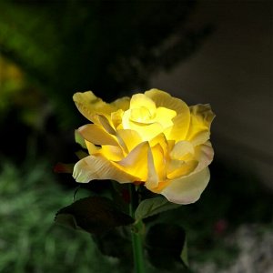 Садовый светильник на солнечной батарее «Роза жёлтая», 75 см, 5 LED, свечение белое