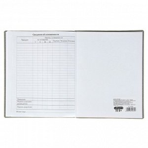 Премиум-дневник универсальный, для 1-11 класса Vivella, обложка искусственная кожа, серый