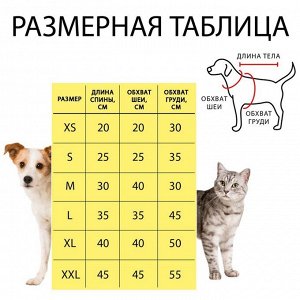 Куртка "Тигрёнок" с капюшоном, размер L (ДС 35 см, ОГ 45 см, ОШ 35 см)