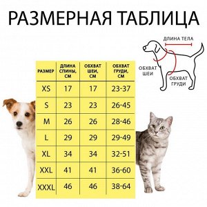 Свитер "Полоски", S (ДС 23, ОШ 23, ОГ 26-45 см)