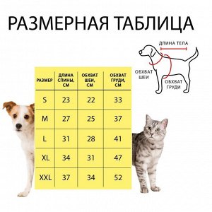 СИМА-ЛЕНД Комбинезон Dog Care, размер S (ДС 23, ОШ 22, ОГ 33 см), голубой