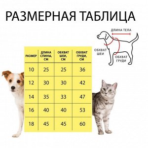 Комбинезон демисезонный с отверстием для поводка, 10 (ДС 25, ОШ 26, ОГ 30 см), жёлтый