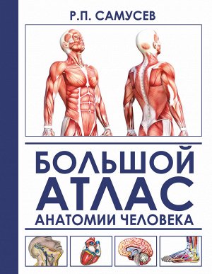 Самусев Р.П., Агеева В.А. Большой атлас анатомии человека