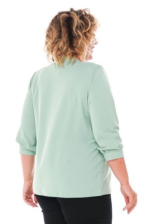 Блузка Материал: Искусственный шелк; Фасон: Блузка; Длина рукава: 3/4 рукав; Параметры модели: Рост 173 см, Размер 54
Блузка с бантом на груди светло-зеленая
Блузка прямого кроя из мягкого струящегося
