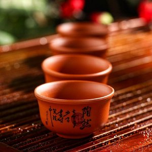 Набор для чайной церемонии «Иероглиф», 5 предметов: чайник 200 мл, 4 пиалы, 25 мл