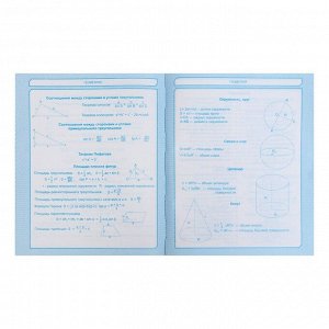 Дневник для 5-11 класса "Сова", твёрдая обложка, глянцевая ламинация, 48 листов