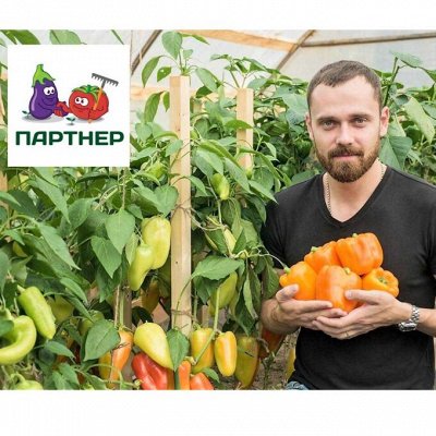 -20% на семена ПАРТНЁР! Сезонная скидка только 2 дня!