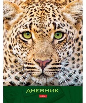 Дневник  1-11кл. Хатбер 40л. "ЯГУАР" тв.переплет глянц. ламин. 40ДТ5В_27072 (1/28)