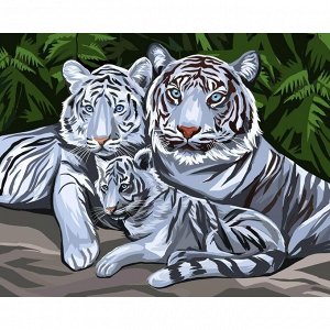 Алмазная мозаика на подрамнике с полным заполнением «Белые тигры», 40х50см