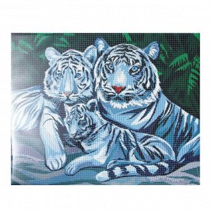 Алмазная мозаика на подрамнике с полным заполнением «Белые тигры», 40х50см