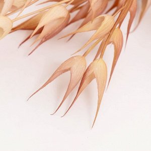 Декор "Колоски пшеницы" 60 см, коричневый