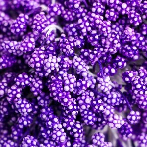 Тычинки для цветов "Капельки пузырьковые фиолет" 4х7 мм набор 700 шт длина 6,5 см