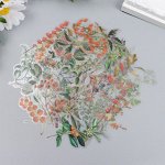 Наклейки для творчества &quot;&quot;Ягоды&quot;&quot; набор 40 шт 12х9 см