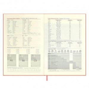 Ежедневник недатированный, формат А5, 160 л., мягкий переплёт, блинтовое тиснение