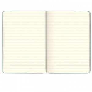 Записная книжка, формат А5+, 40 л., мягкий переплёт, полноцветный дизайн