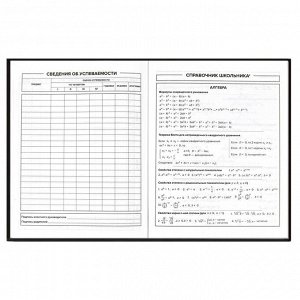 Дневник школьный, формат А5+, 170х218 мм, 48 листов, интегральная (мягкая), матовая ламинация, конгрев, выборочный УФ-лак