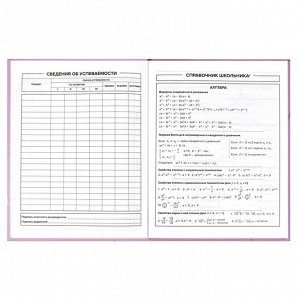 Дневник школьный, формат А5+, 170х218 мм, 48 листов, интегральная (мягкая), матовая ламинация, конгрев, выборочный УФ-лак