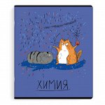 Тетрадь предметная арт. 60465/ ХИМИЯ /48 л., А5+, вн.блок - клетка, выборочный ТВИН УФ-лак.