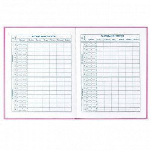 Дневник школьный 1-4 класс, формат А5+, 170х218 мм, 48 листов, твёрдый переплёт, глянцевая ламинация.