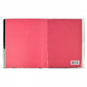Дневник школьный, А5+, 48л., мягкий переплёт, шелкография в две краски