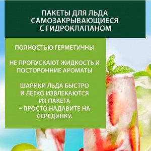 ARVITEX Master Fresh Пакеты д/ЛЬДА самозакрыв.с гидроклапаном 8 листов