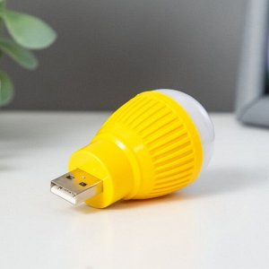 RISALUX Ночник &quot;Лампочка&quot; LED USB МИКС 3,5Х3,5Х6,5 см