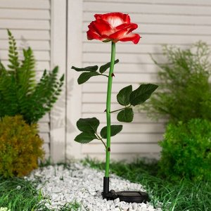 Садовый светильник на солнечной батарее «Роза красная», 75 см, 5 LED, свечение белое