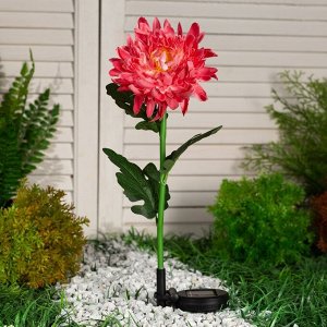 Садовый светильник на солнечной батарее «Хризантема красная», 75 см, 1 LED, свечение белое