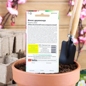 Premium seeds Семена цветов Флокс друммонди &quot;Бьюти микс&quot;,   0,1 г