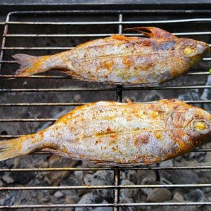 Рыбка ДОРАДО на углях на мангале