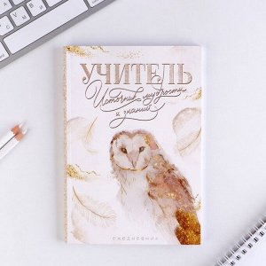 Подарочный набор «Золотой учитель»: ежедневник А5, 60 листов, стикеры и ручка шариковая, синяя паста