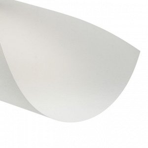 Папка для акварели А3, 297 х 420 мм, 10 листов, блок бумага ГОЗНАК «Холст», 200 г/м2